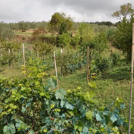 Apartman Il Melograno *